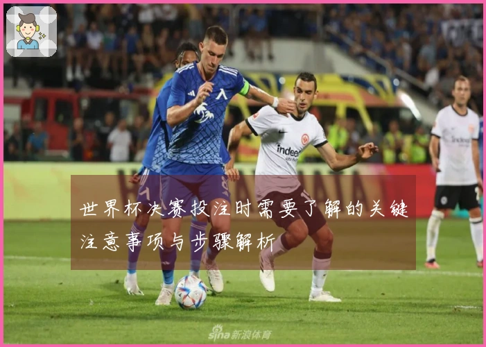 世界杯决赛投注时需要了解的关键注意事项与步骤解析